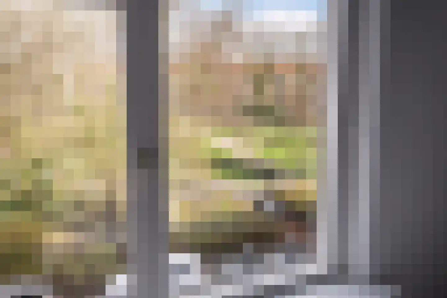Mendelssohnplein 17 C Vlaardingen thumbnail 21