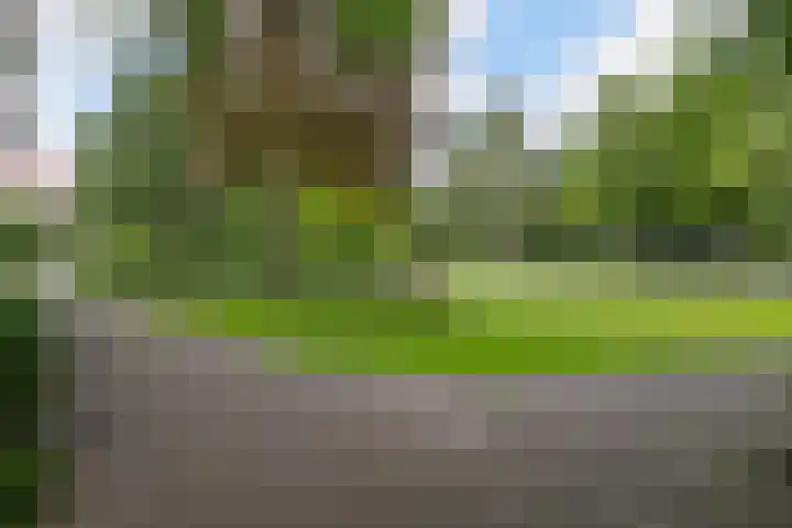 Mendelssohnplein 22 B Vlaardingen thumbnail 21