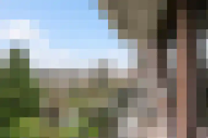 Mendelssohnplein 22 C Vlaardingen thumbnail 16