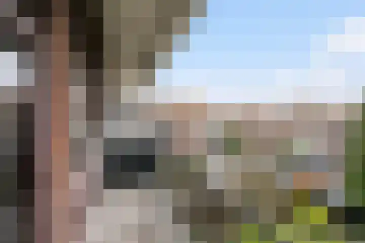 Mendelssohnplein 22 C Vlaardingen thumbnail 17