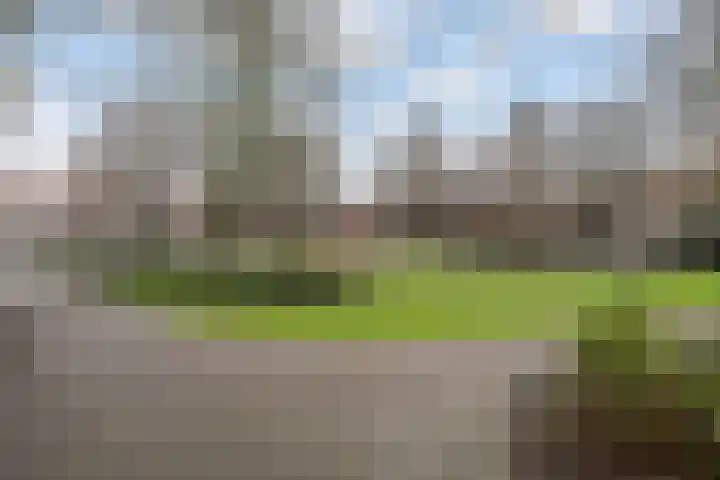 Mendelssohnplein 22 C Vlaardingen thumbnail 26