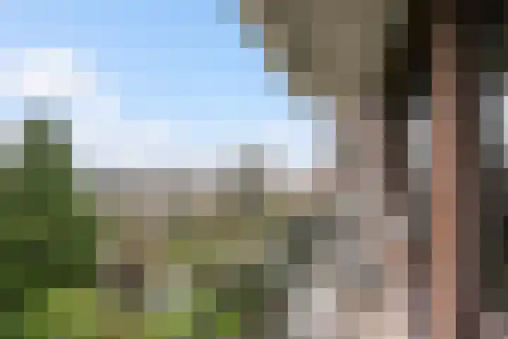 Mendelssohnplein 22 C Vlaardingen thumbnail 6