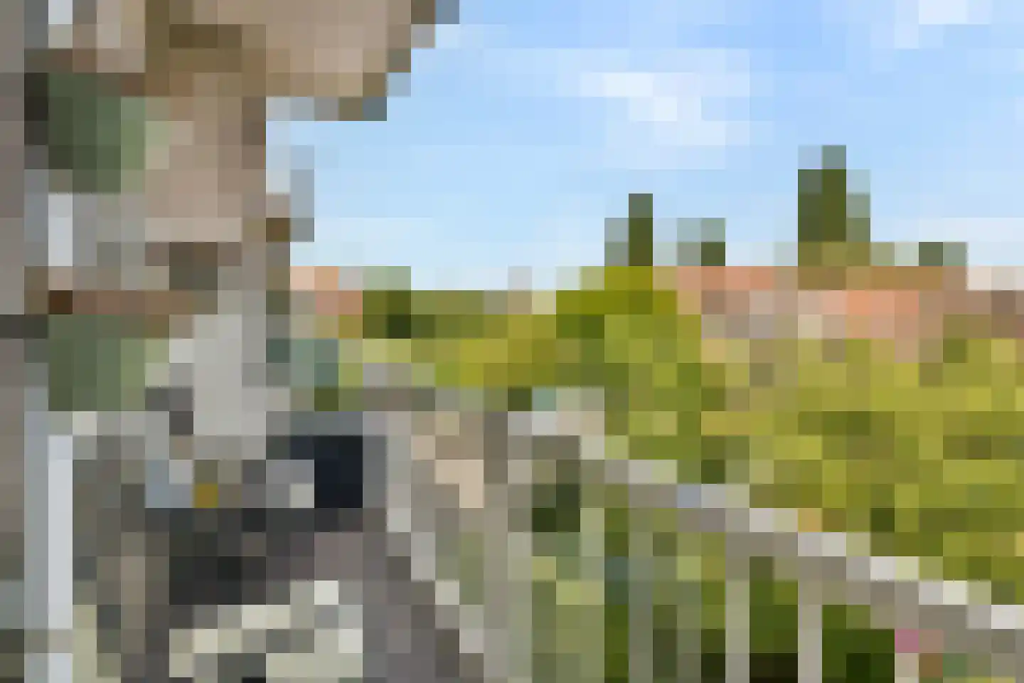 Mendelssohnplein 33 C Vlaardingen thumbnail 12