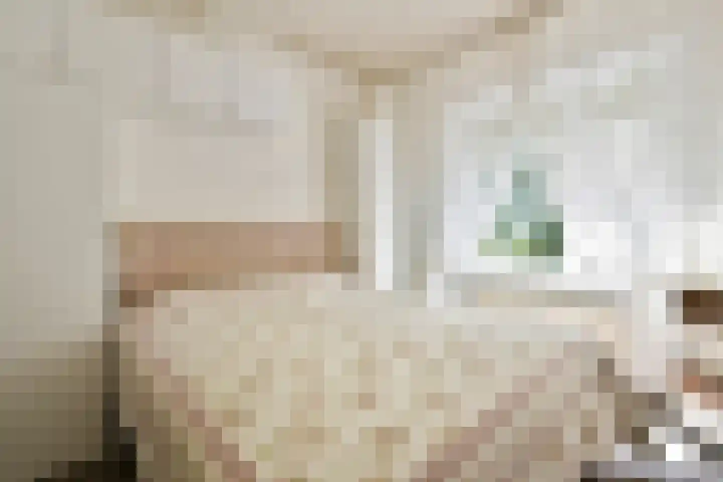 Mendelssohnplein 33 C Vlaardingen thumbnail 15
