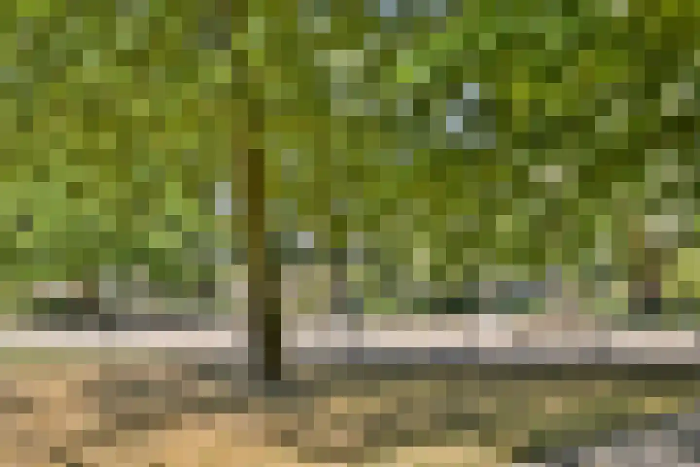 Mendelssohnplein 33 C Vlaardingen thumbnail 25