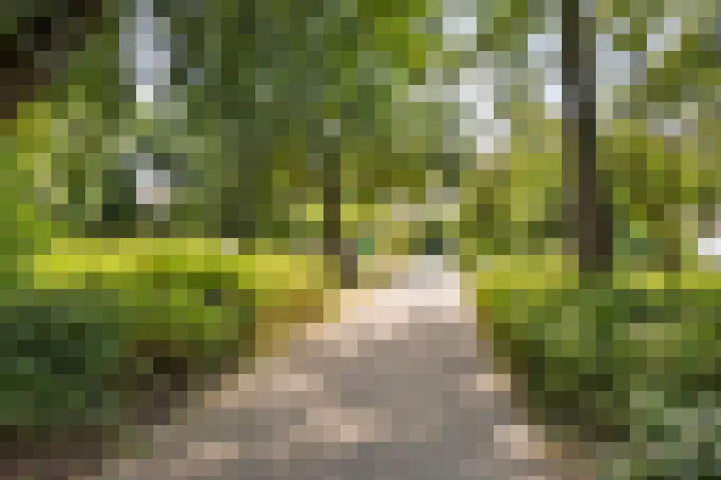 Mendelssohnplein 33 C Vlaardingen thumbnail 26