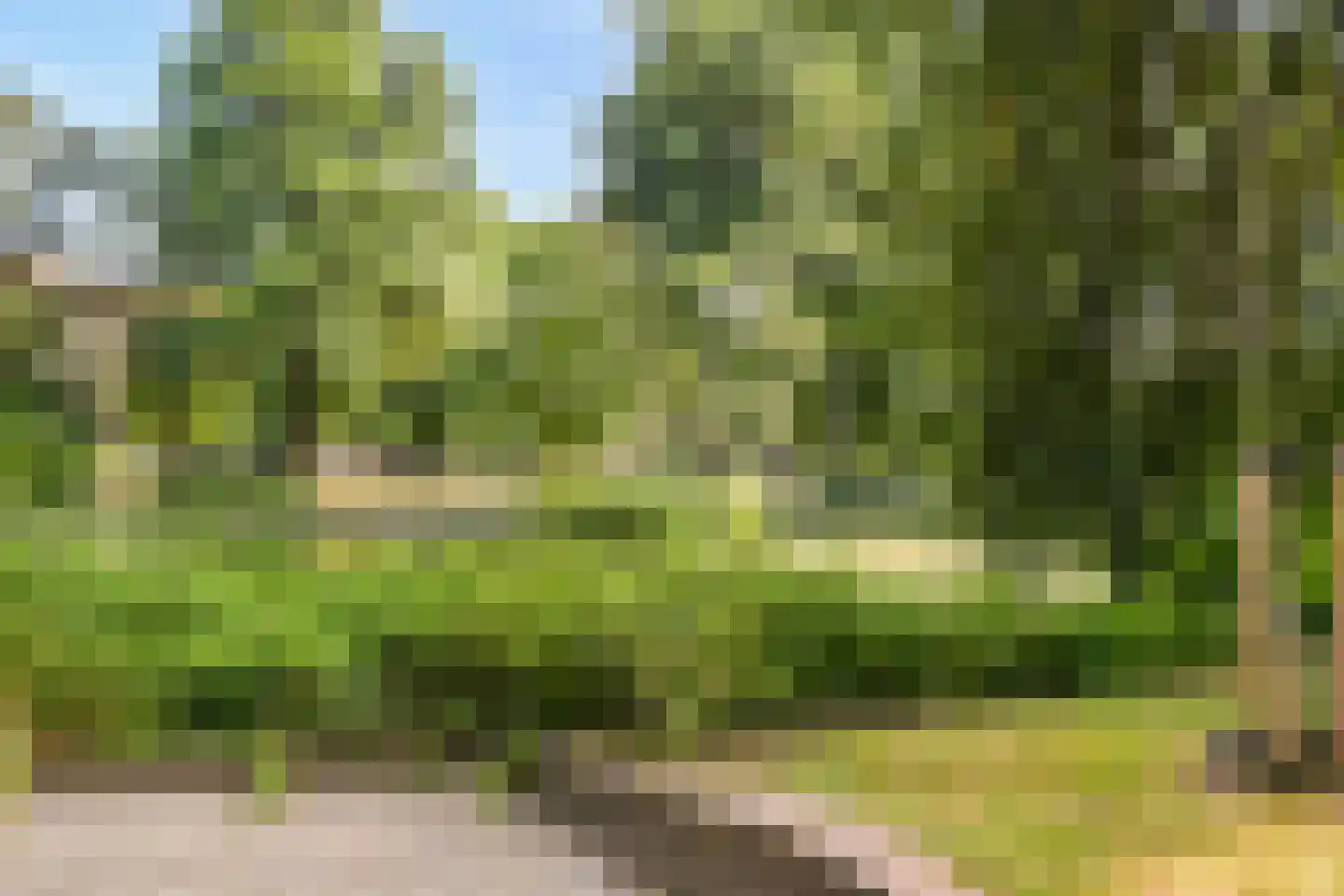 Mendelssohnplein 33 C Vlaardingen thumbnail 5