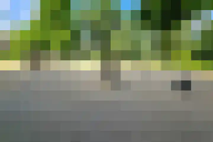Mendelssohnplein 34 B Vlaardingen thumbnail 16