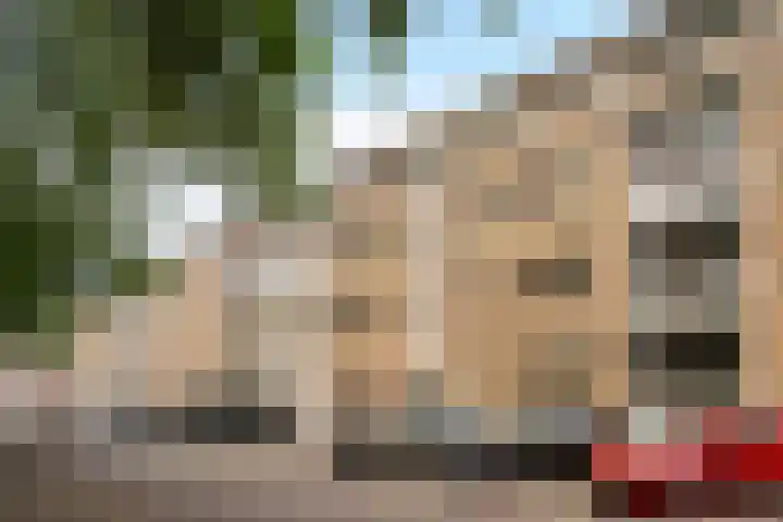 Mendelssohnplein 34 C Vlaardingen thumbnail 22