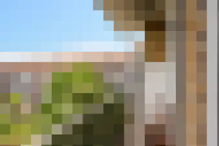 Mendelssohnplein 34 C Vlaardingen thumbnail 7