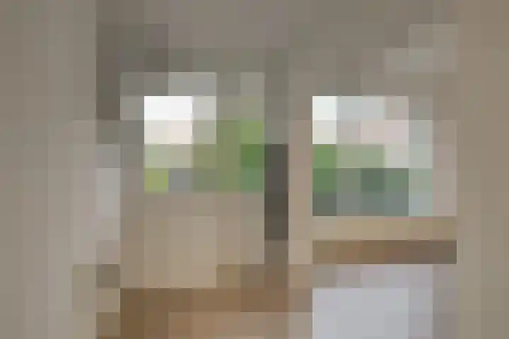 Mendelssohnplein 35 A Vlaardingen thumbnail 11
