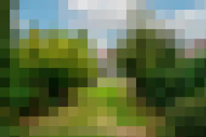 Mendelssohnplein 35 A Vlaardingen thumbnail 13