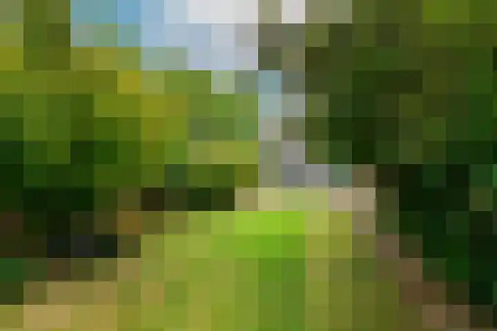 Mendelssohnplein 35 A Vlaardingen thumbnail 14