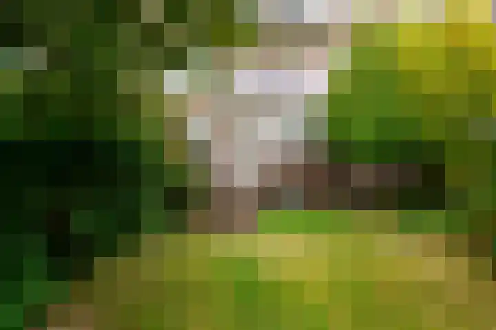 Mendelssohnplein 35 A Vlaardingen thumbnail 15