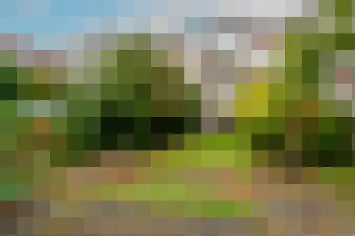 Mendelssohnplein 35 A Vlaardingen thumbnail 16