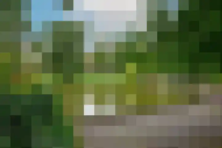 Mendelssohnplein 35 A Vlaardingen thumbnail 30