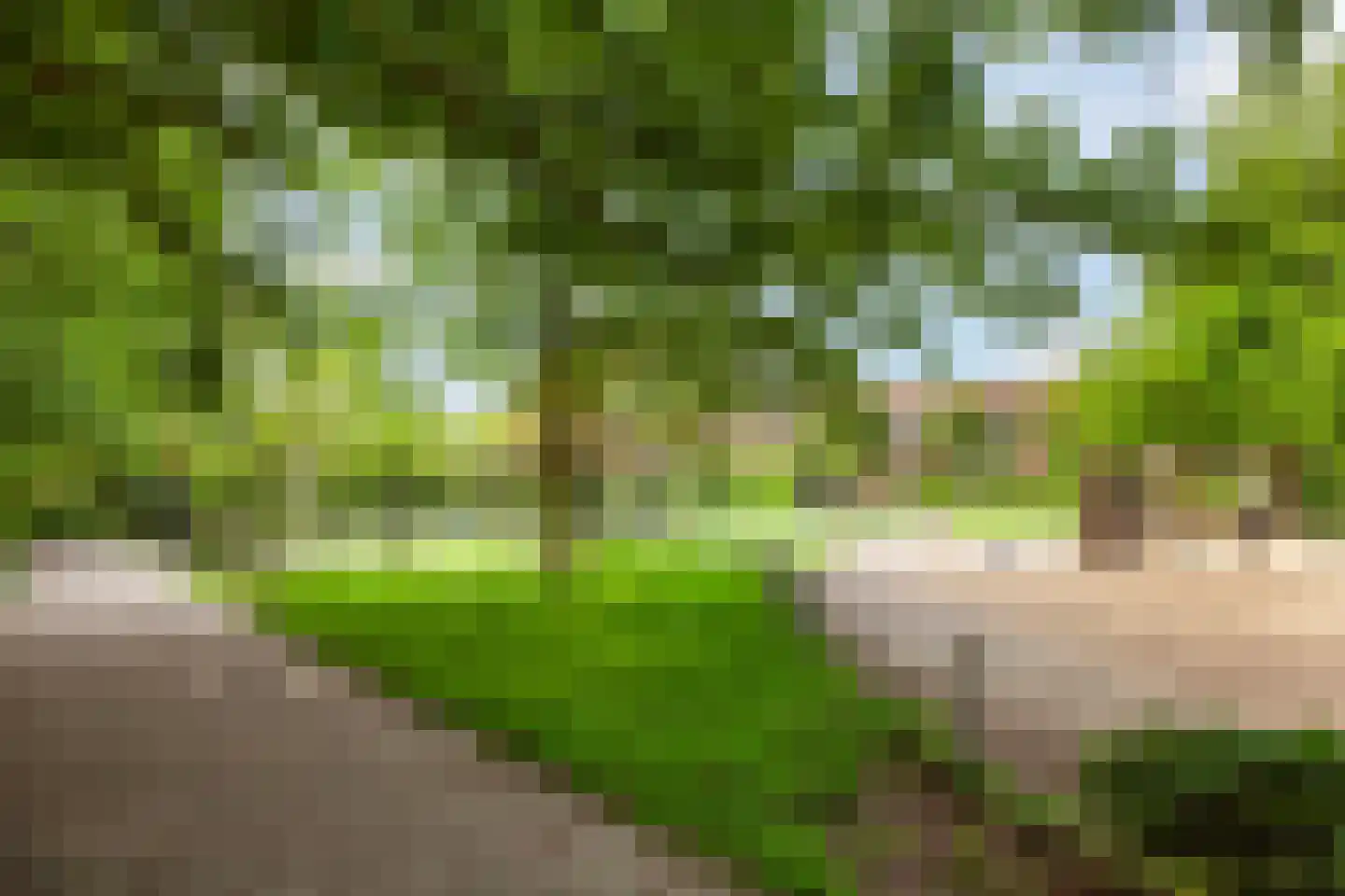 Mendelssohnplein 36 C Vlaardingen thumbnail 29