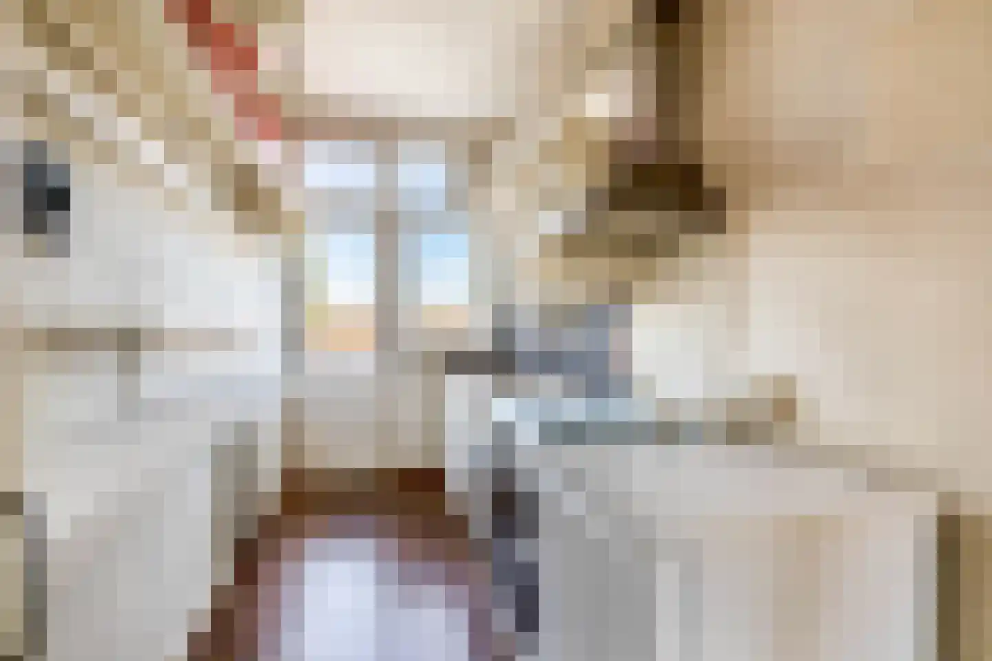 Mendelssohnplein 4 D Vlaardingen thumbnail 26