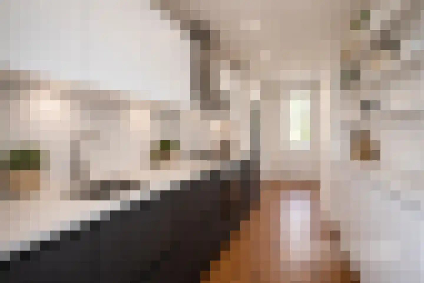 Mendelssohnplein 4 D Vlaardingen thumbnail 30