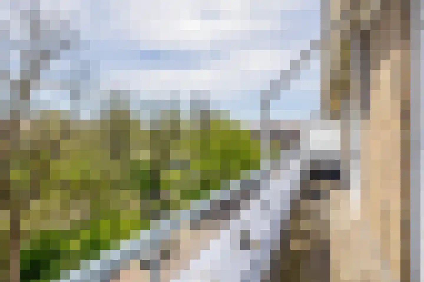 Mendelssohnplein 4 D Vlaardingen thumbnail 4