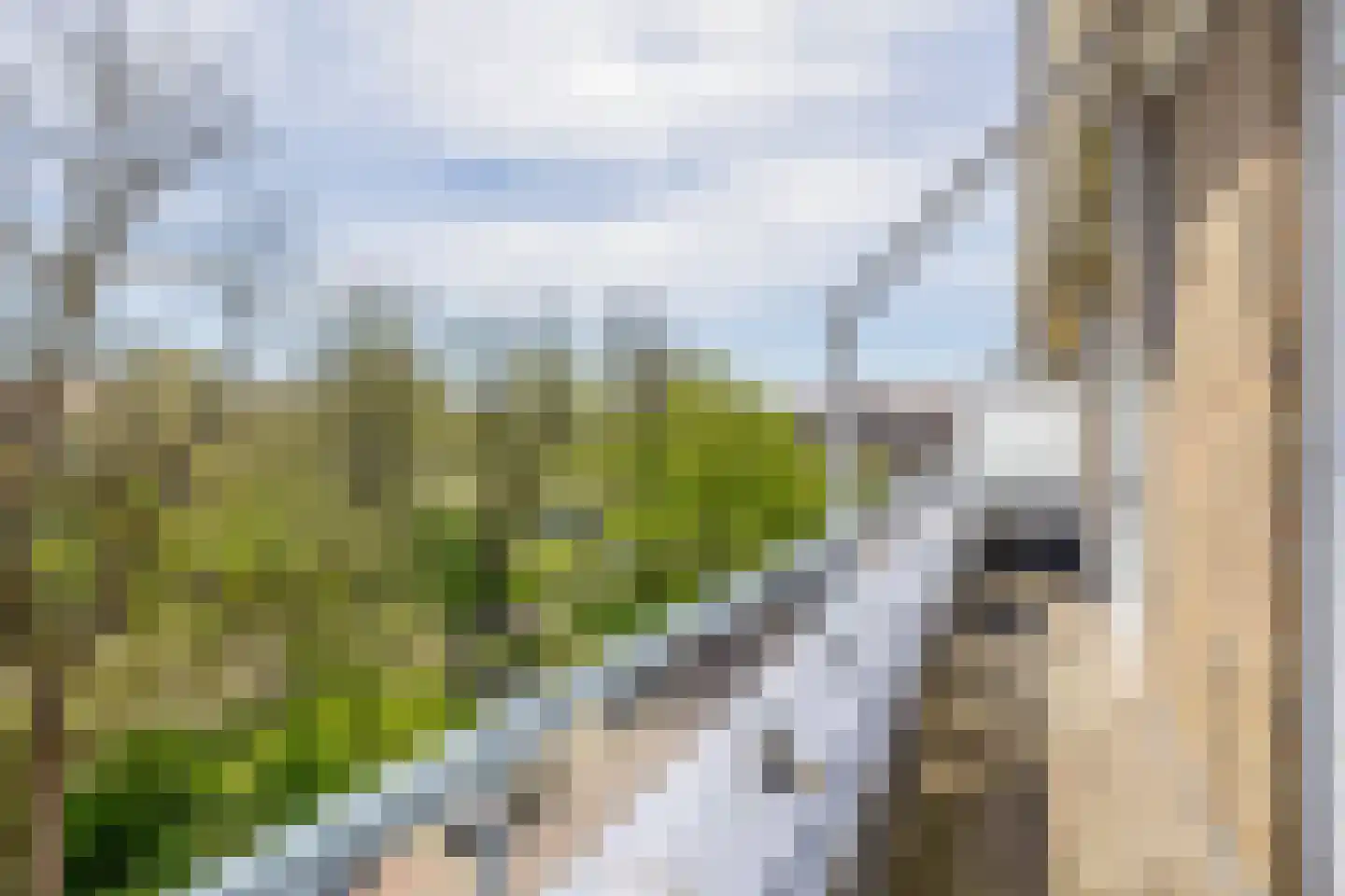Mendelssohnplein 4 D Vlaardingen thumbnail 4