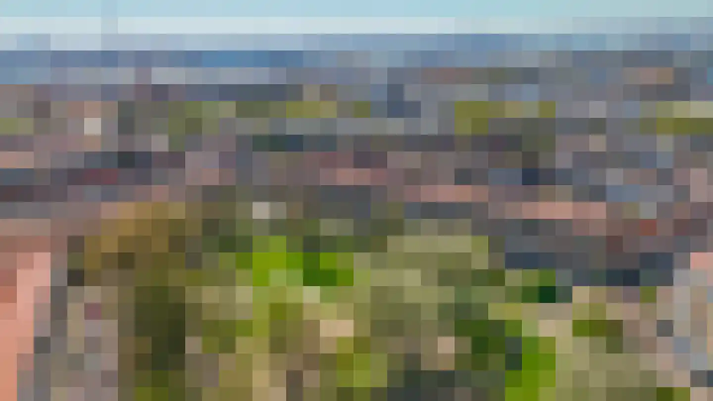 Mendelssohnplein 4 D Vlaardingen thumbnail 6