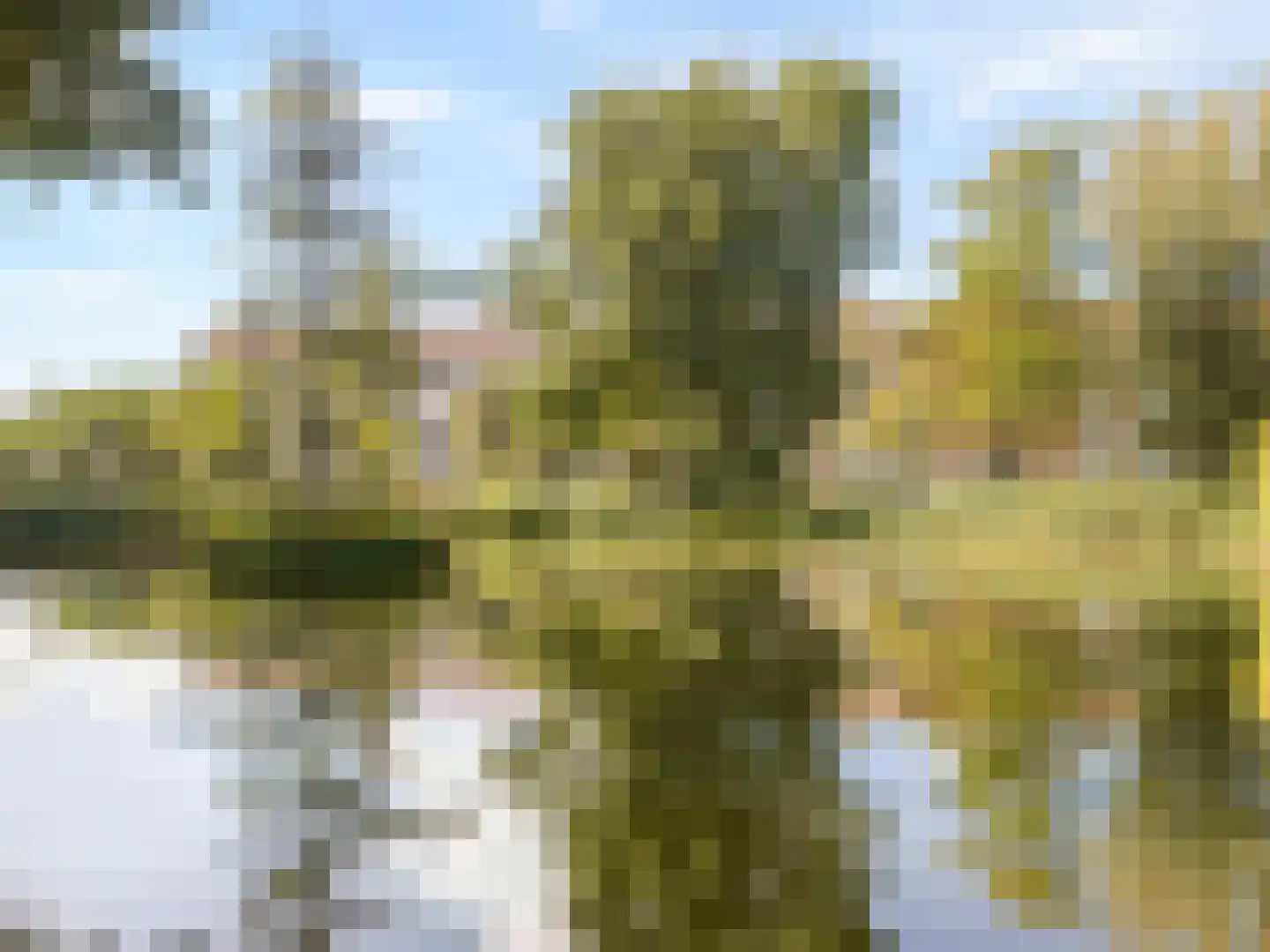 Mendelssohnplein 40 B Vlaardingen thumbnail 36