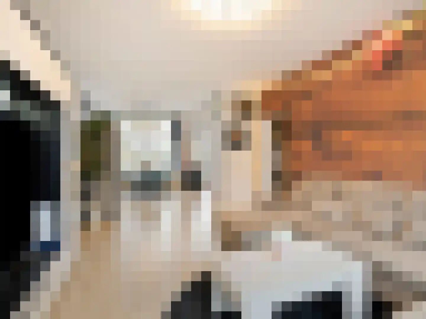 Mendelssohnplein 40 B Vlaardingen thumbnail 5