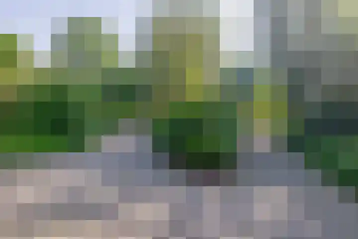 Mendelssohnplein 43 A Vlaardingen thumbnail 33