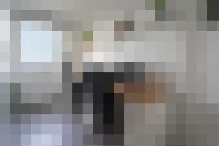 Mendelssohnplein 7 C Vlaardingen thumbnail 20