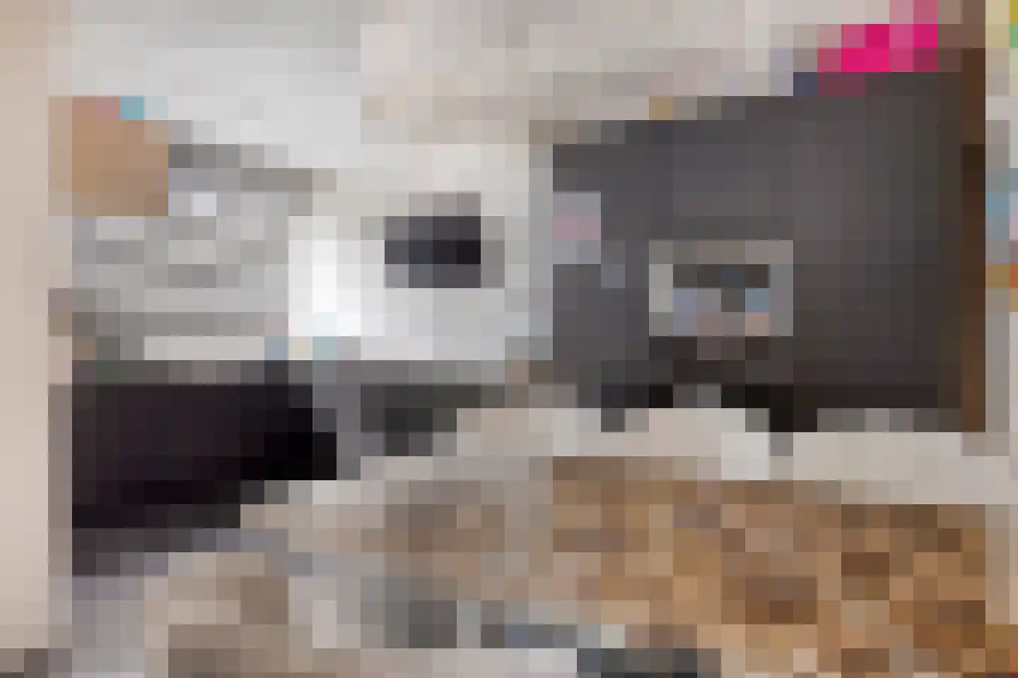 Mendelssohnrode 12 Zoetermeer thumbnail 10