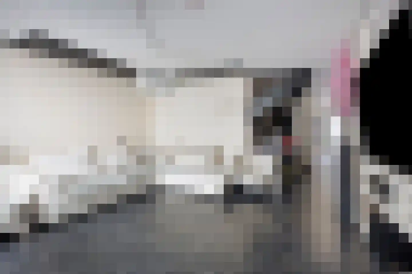 Mendelssohnrode 12 Zoetermeer thumbnail 13