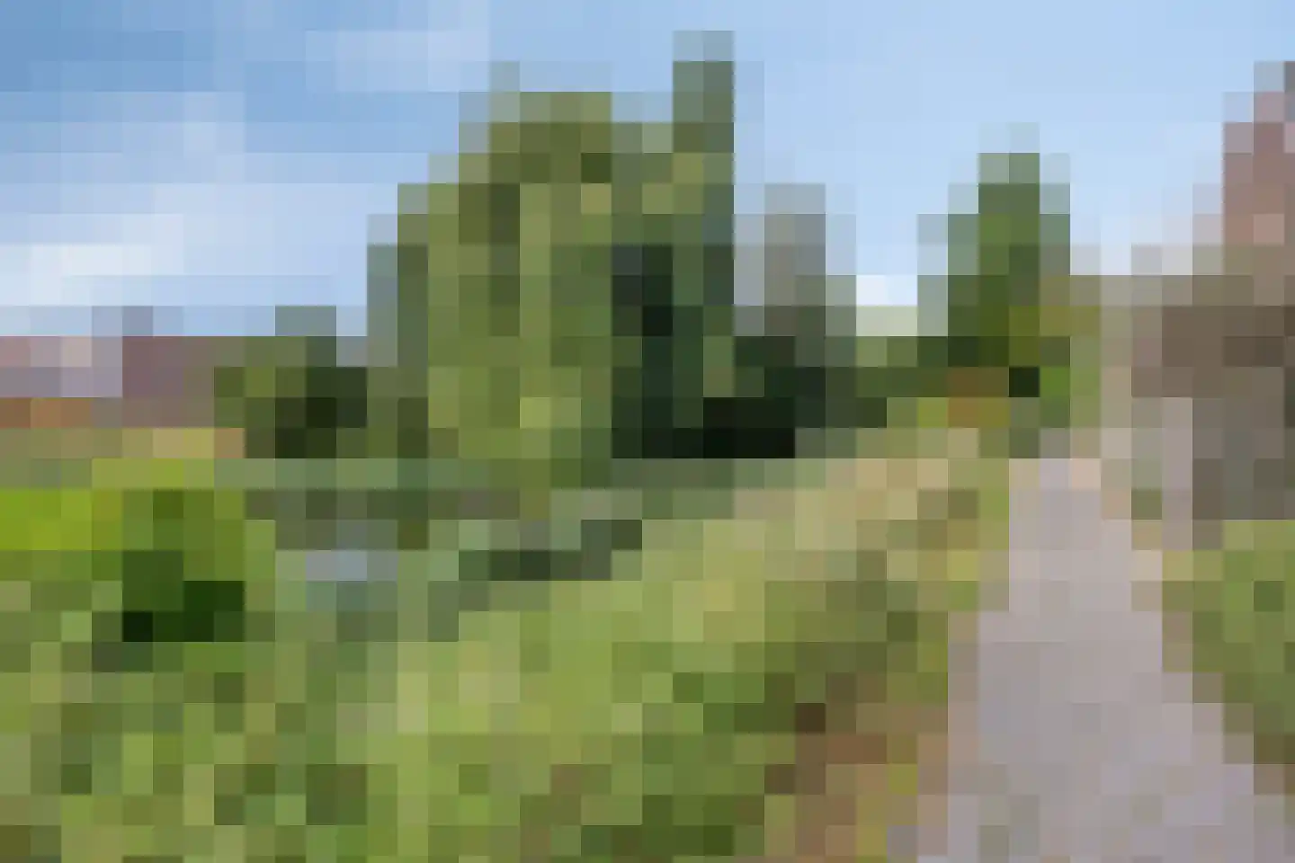 Mendelssohnrode 12 Zoetermeer thumbnail 25