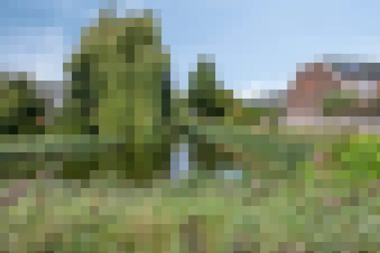 Mendelssohnrode 12 Zoetermeer thumbnail 26