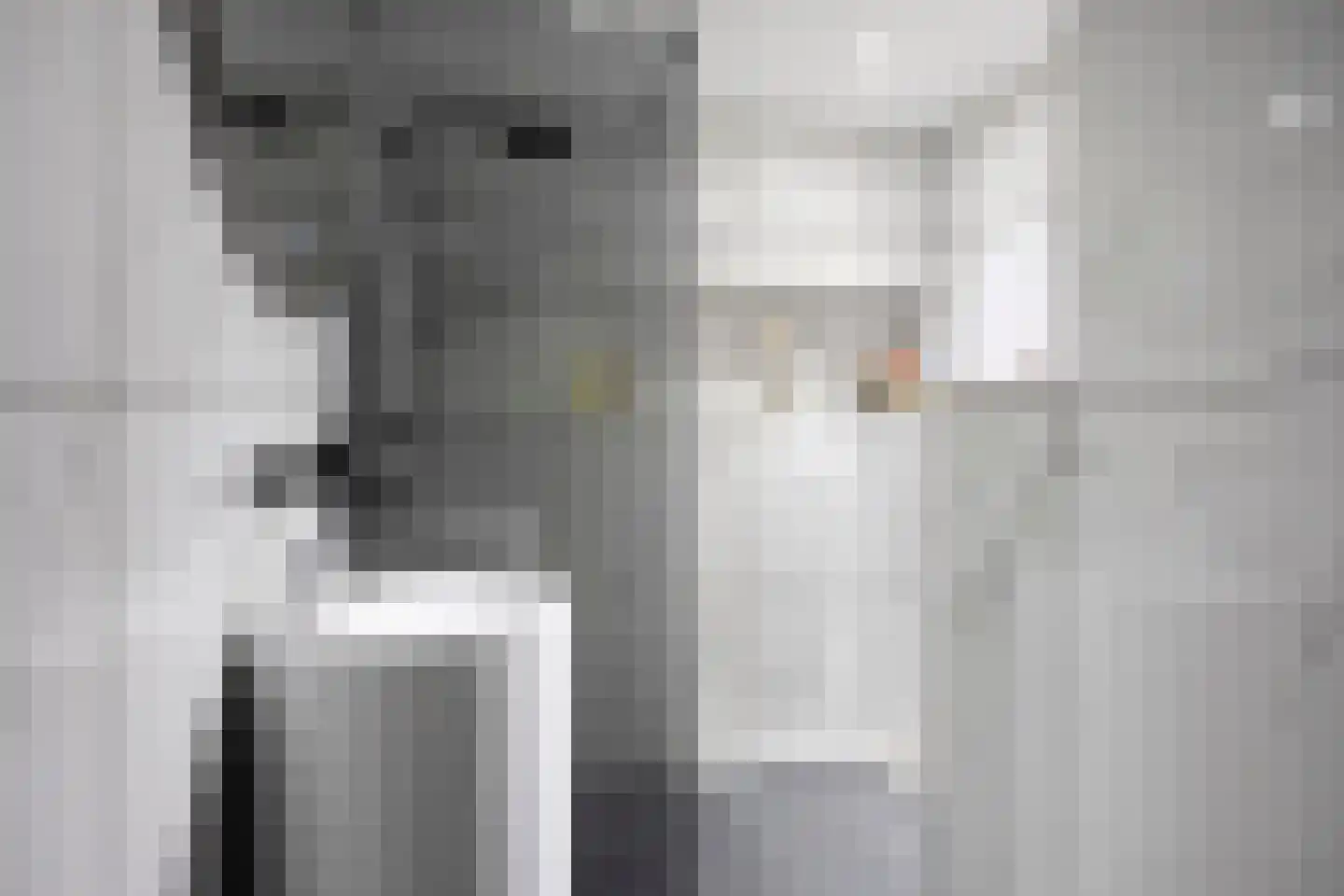 Mendelssohnrode 12 Zoetermeer thumbnail 4