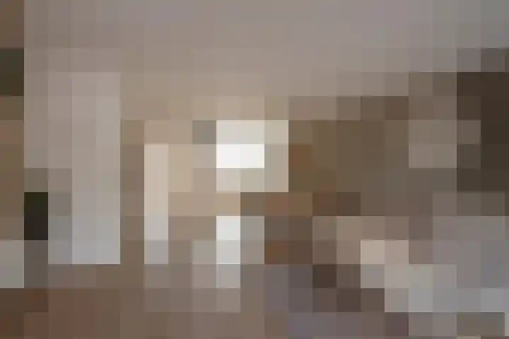 Mendelssohnrode 30 Zoetermeer thumbnail 13