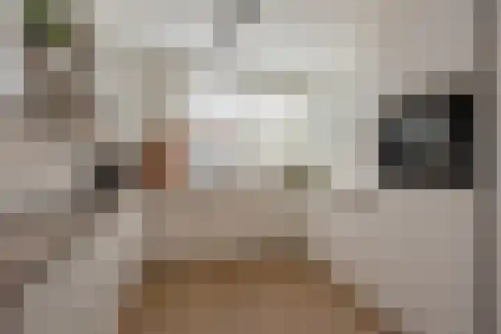 Mendelssohnrode 30 Zoetermeer thumbnail 15