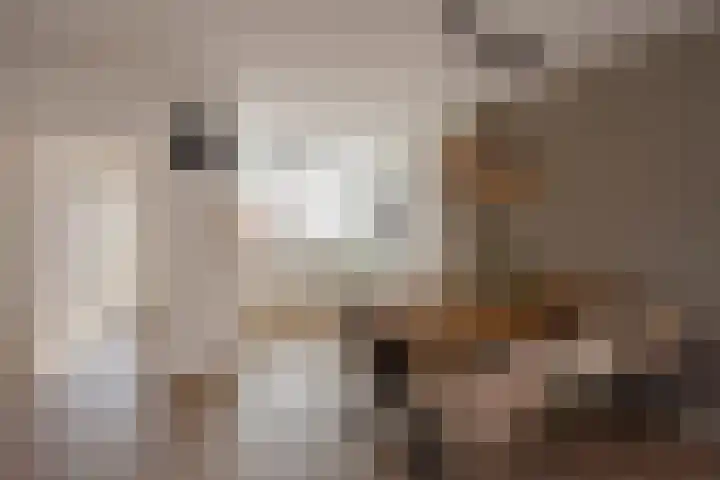 Mendelssohnrode 30 Zoetermeer thumbnail 17