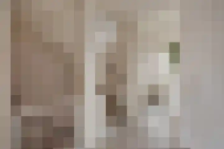 Mendelssohnrode 30 Zoetermeer thumbnail 19