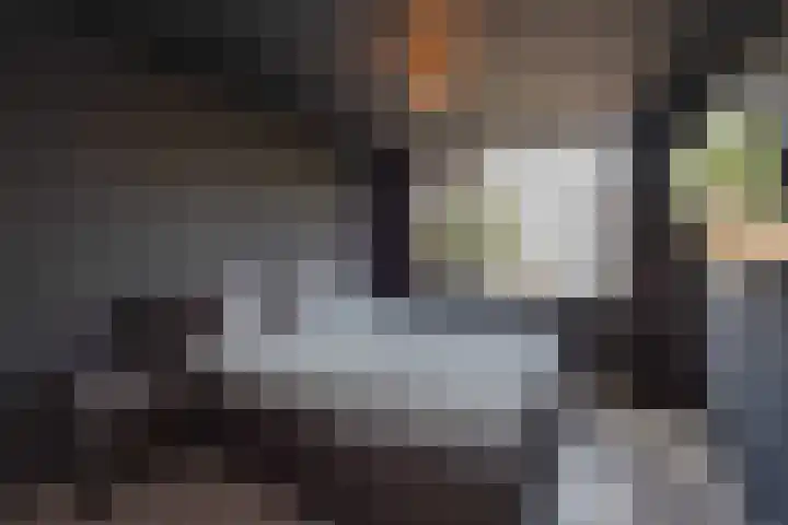Mendelssohnrode 30 Zoetermeer thumbnail 20
