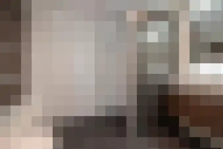 Mendelssohnrode 30 Zoetermeer thumbnail 22