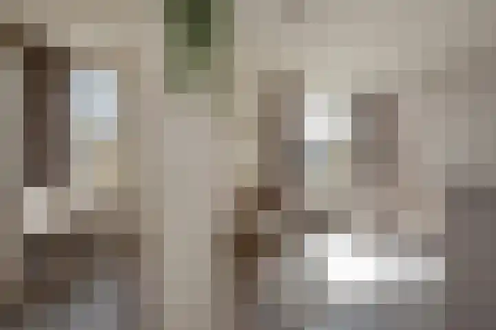 Mendelssohnrode 30 Zoetermeer thumbnail 24