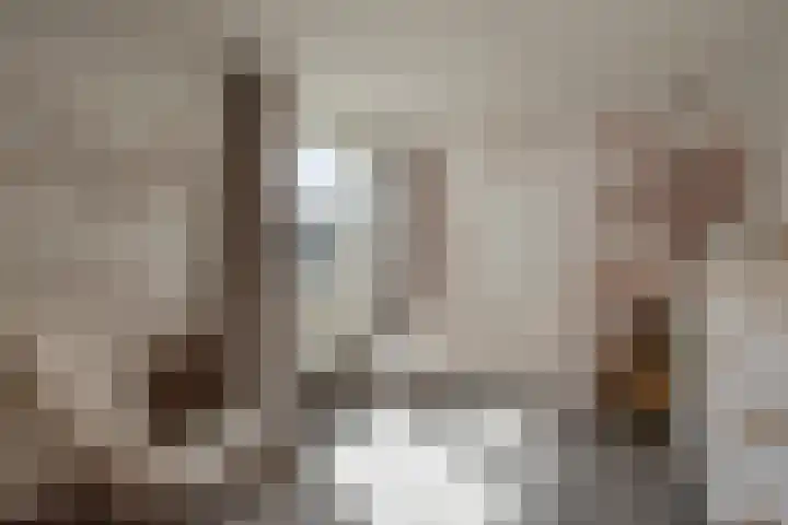 Mendelssohnrode 30 Zoetermeer thumbnail 25