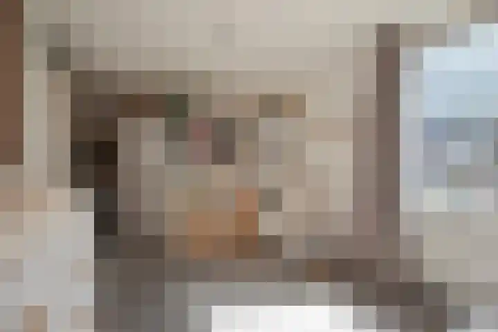 Mendelssohnrode 30 Zoetermeer thumbnail 26