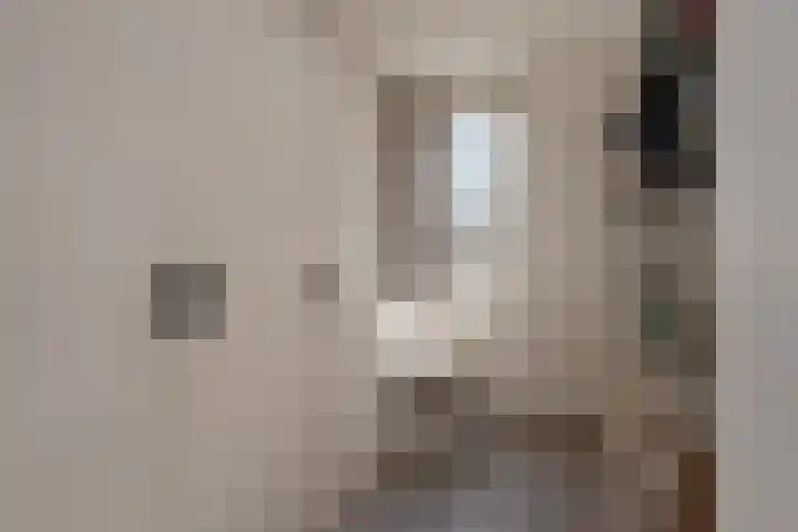 Mendelssohnrode 30 Zoetermeer thumbnail 27