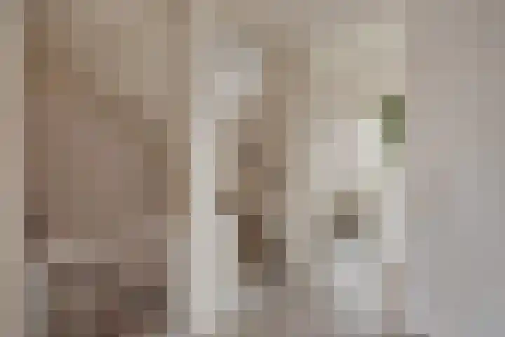 Mendelssohnrode 30 Zoetermeer thumbnail 29