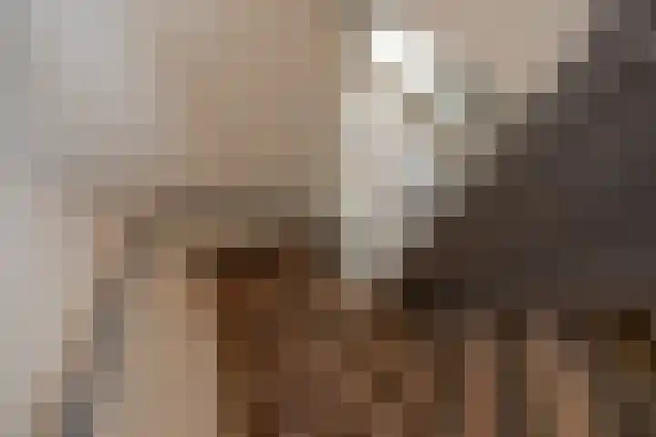 Mendelssohnrode 30 Zoetermeer thumbnail 30