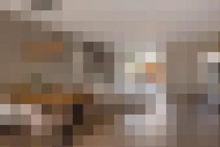 Mendelssohnrode 30 Zoetermeer thumbnail 7