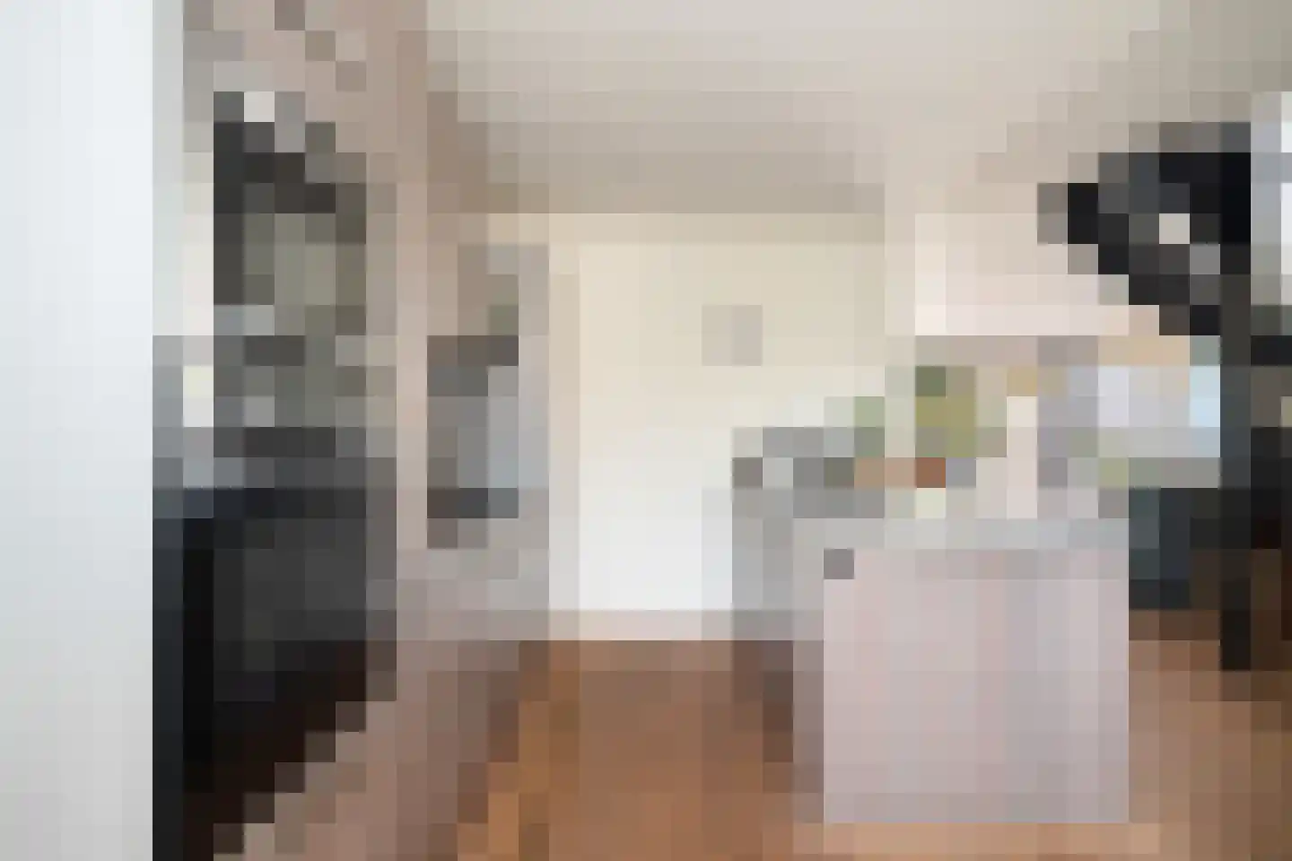 Mendelssohnrode 39 Zoetermeer thumbnail 10
