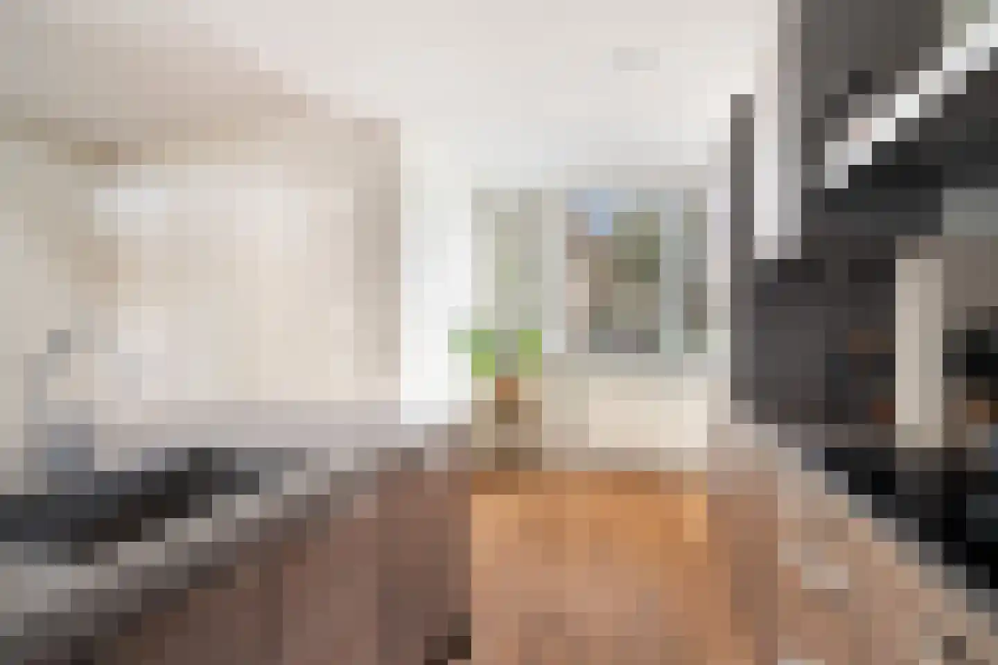 Mendelssohnrode 39 Zoetermeer thumbnail 11